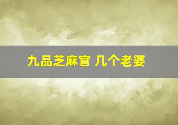 九品芝麻官 几个老婆